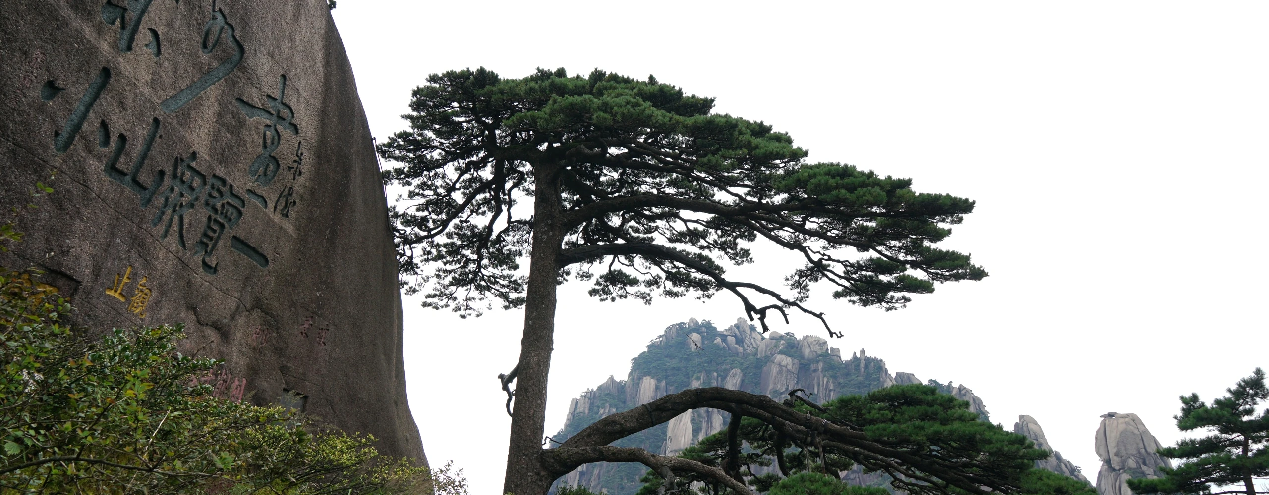 Pine tree beside an inscribed rock face with mountain peaks in the background.